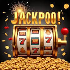 dgd bet