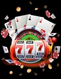dgd bet
